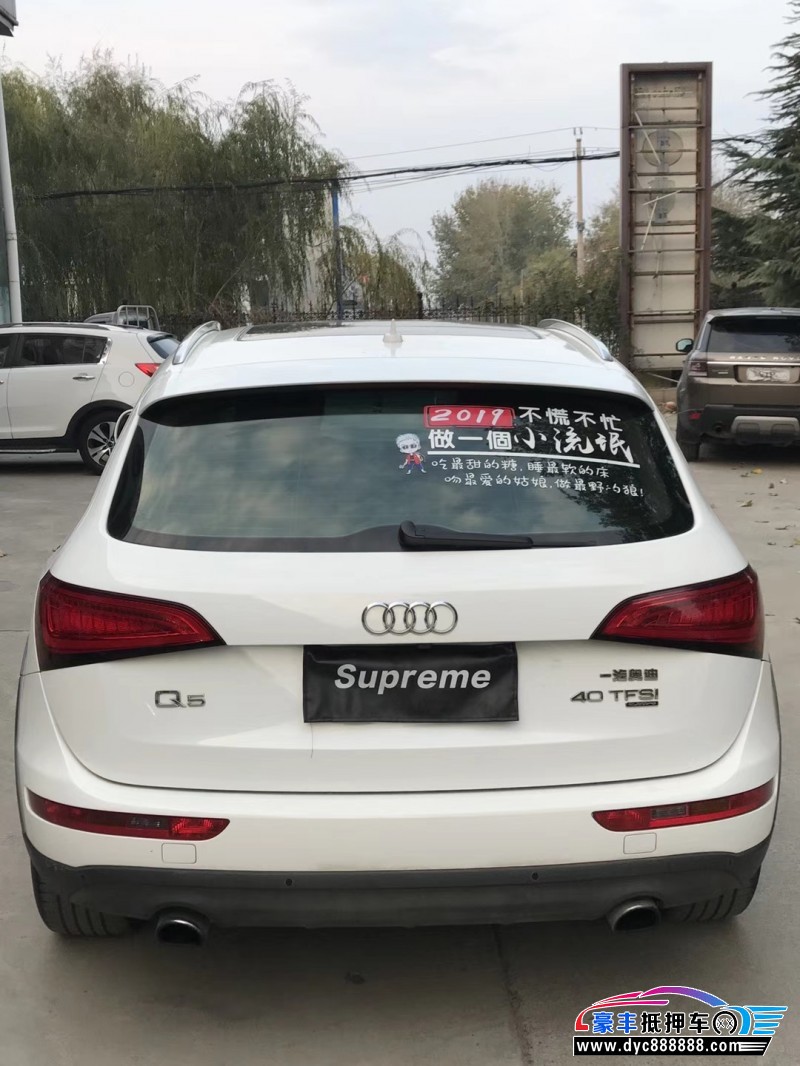 13年 奥迪 Q5 SUV(图4)